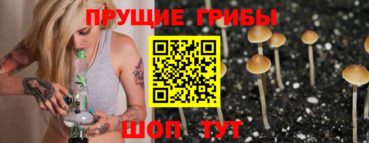 Кашира  закладки  Вход с VPN  Галлюциногенные грибы Magic Shrooms 